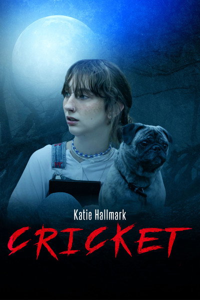 Póster de Cricket
