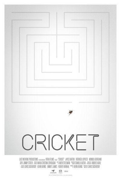 Póster de Cricket