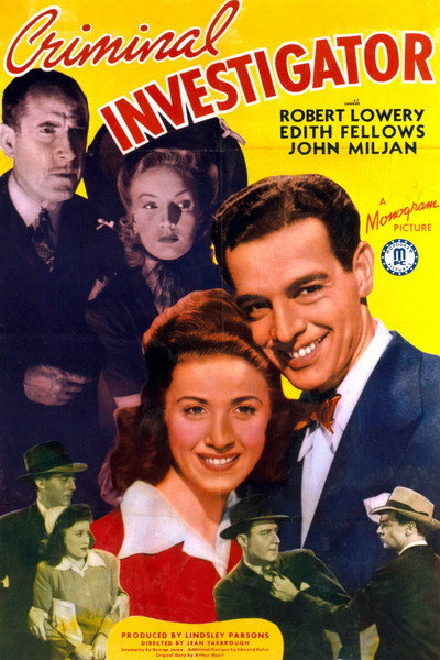 Póster de Criminal Investigator
