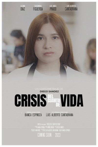 Póster de Crisis del Cuarto de Vida
