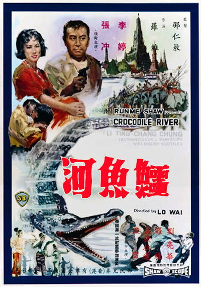 Póster de Crocodile River