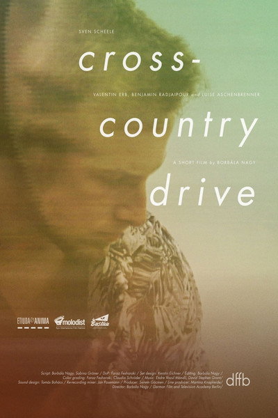 Póster de Cross-Country Drive