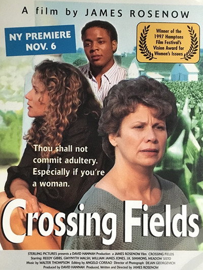 Póster de Crossing Fields