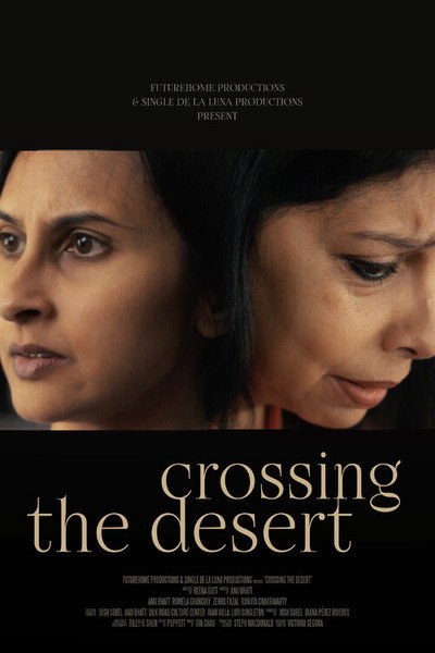 Póster de Crossing the Desert