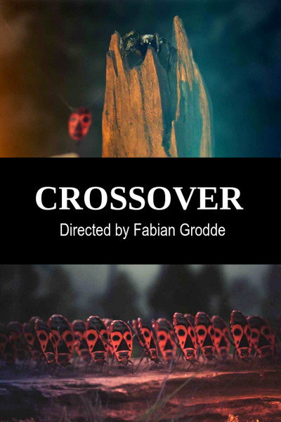 Póster de Crossover