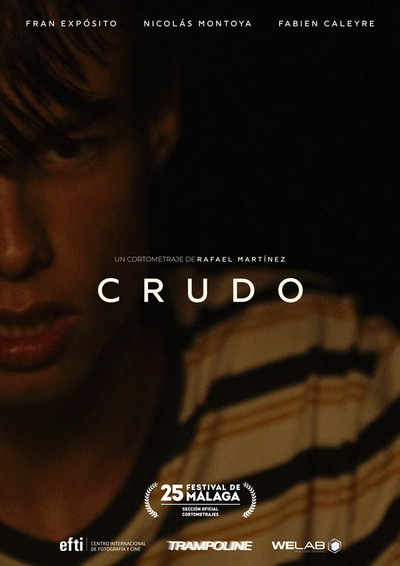Póster de Crudo