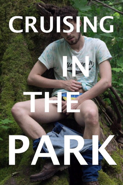 Póster de Cruising in the Park