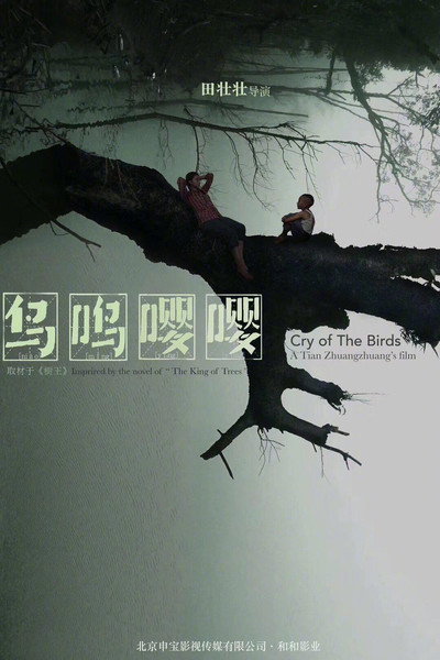 Póster de Cry of the Birds