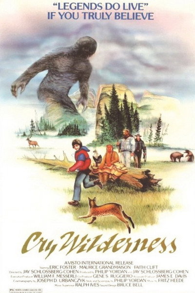 Póster de Cry Wilderness