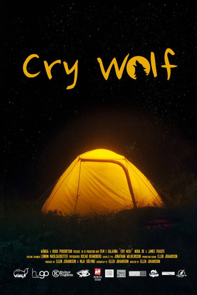 Póster de Cry Wolf