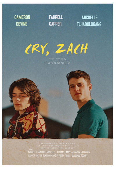 Póster de Cry Zach
