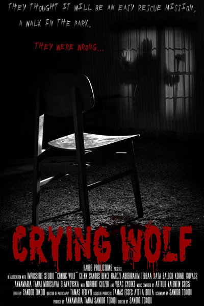 Póster de Crying Wolf