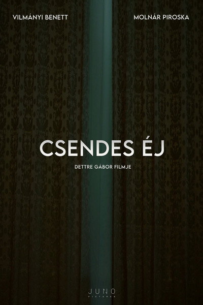 Póster de Csendes éj
