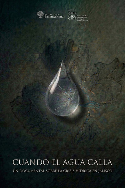 Póster de Cuando El Agua Calla