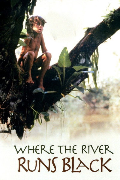 Póster de Cuando el río baja negro