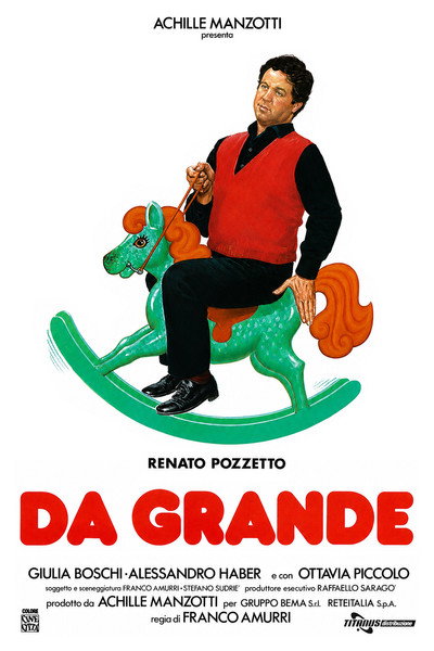 Póster de Cuando fui mayor