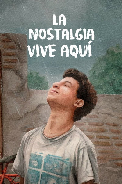 Póster de Cuando la luz se apaga