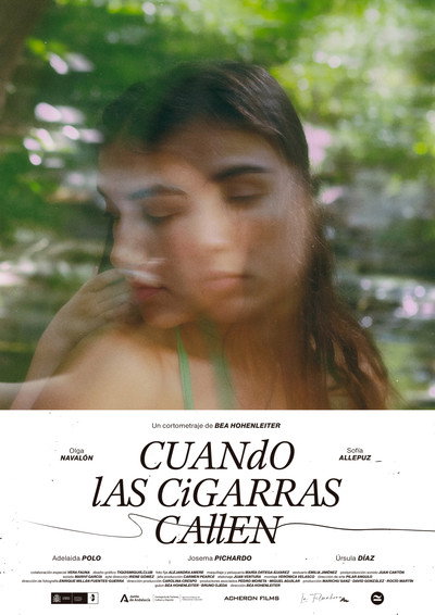 Póster de Cuando las cigarras callen