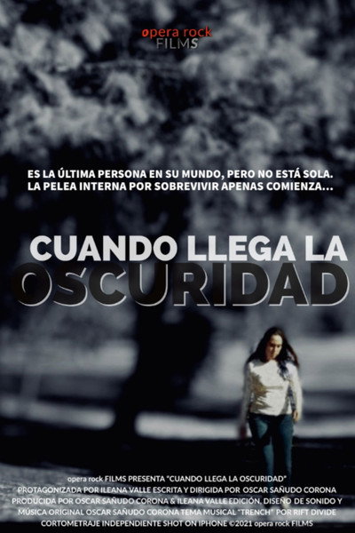 Póster de Cuando llega la oscuridad