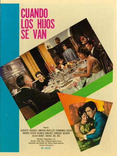 Póster de Cuando los hijos se van