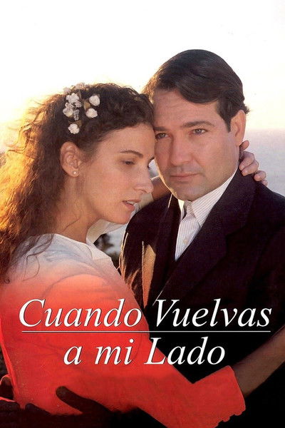 Póster de Cuando vuelvas a mi lado