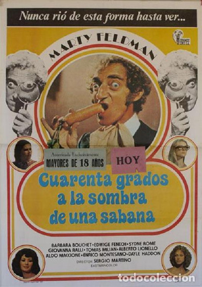 Póster de Cuarenta grados a la sombra de la sabana blanca
