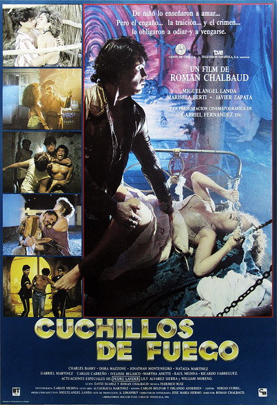 Póster de Cuchillos de fuego