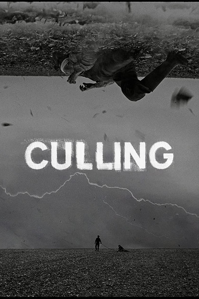 Póster de Culling
