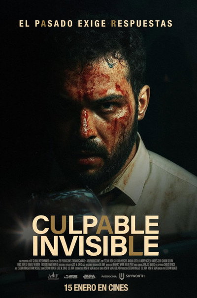 Póster de Culpable Invisible