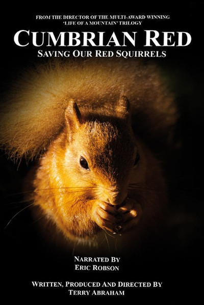 Póster de Cumbrian Red - Saving Our Red Squirrel