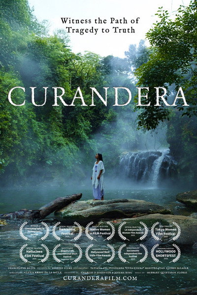 Póster de Curandera