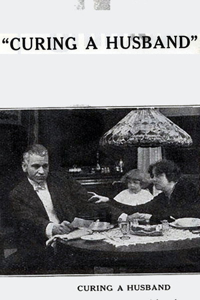Póster de Curing a Husband