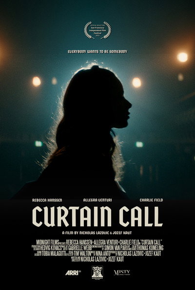 Póster de Curtain Call