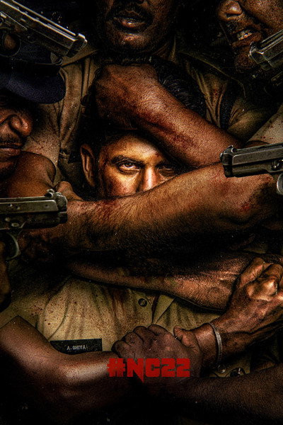 Póster de Custody