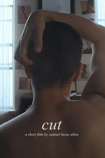 Póster de Cut