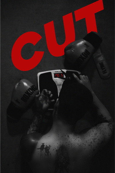 Póster de Cut