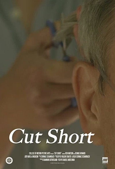 Póster de Cut Short