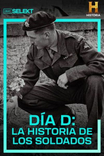 Póster de D-Day: The Soldier's Story