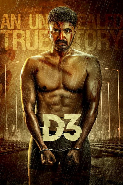 Póster de D3