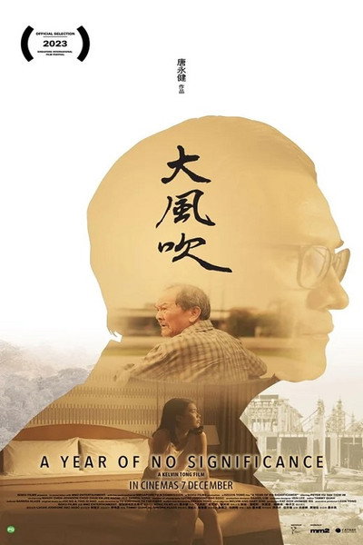 Póster de Da feng chui