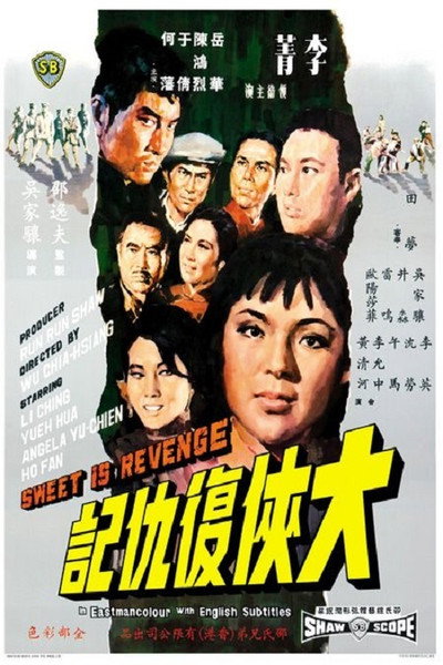 Póster de Da xia fu chou ji