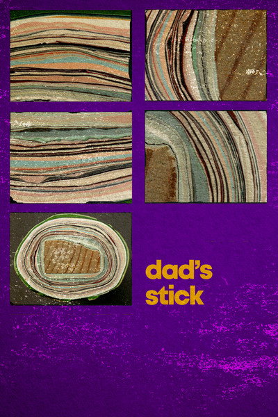 Póster de Dad's Stick