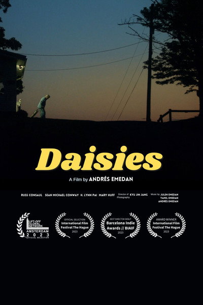 Póster de Daisies