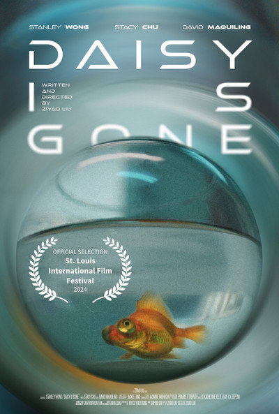 Póster de Daisy Is Gone