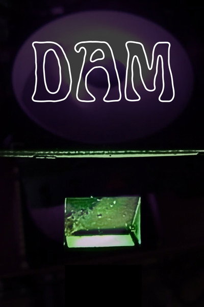 Póster de Dam