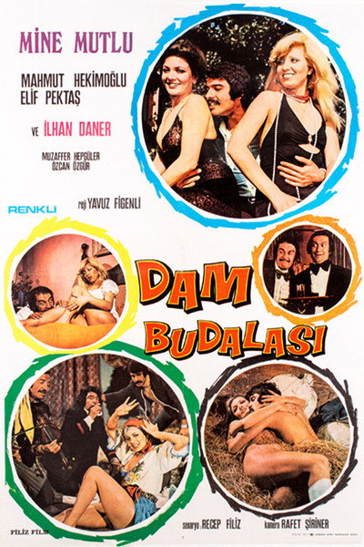 Póster de Dam Budalasi