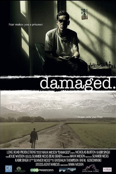 Póster de Damaged