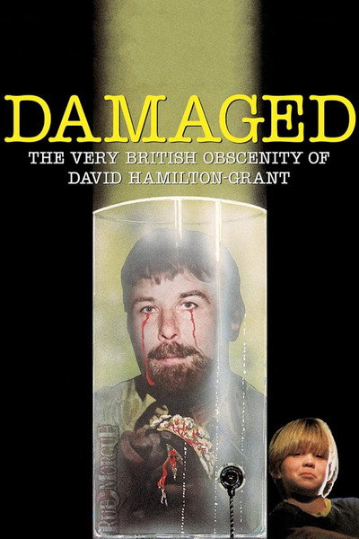 Póster de Damaged
