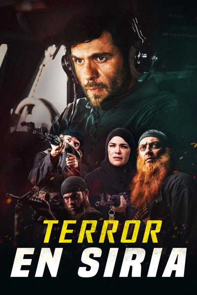 Póster de Damascus Under Fire