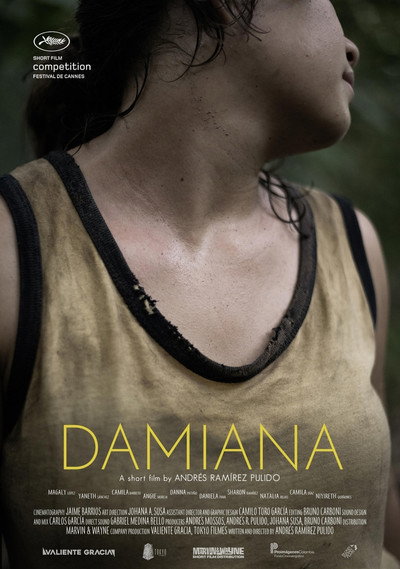 Póster de Damiana